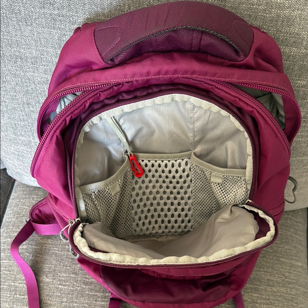 Osprey Axis Backpack in Deep Plum - Picture 11 of 14